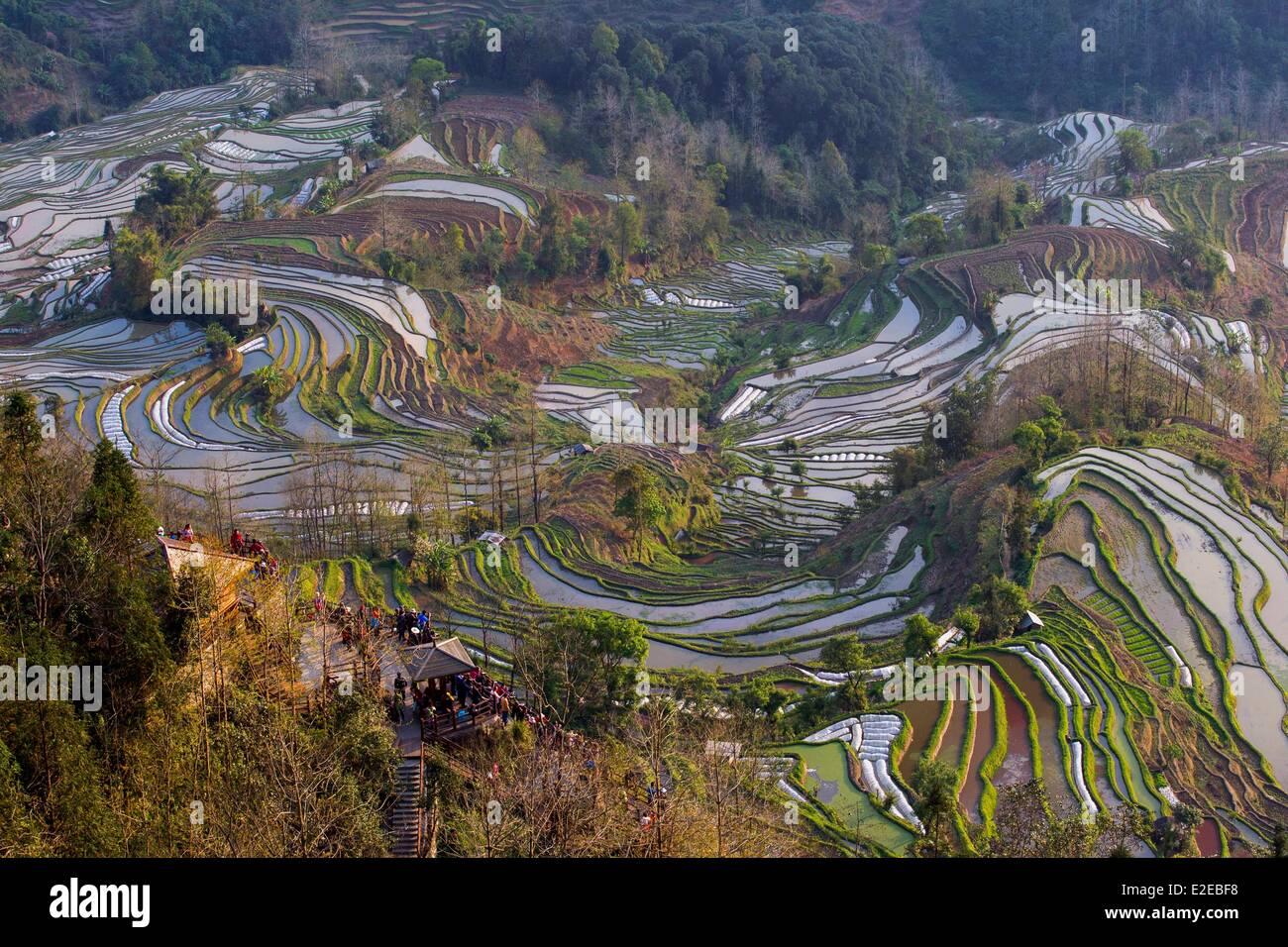 China Yunnan province Yuanyang Cultural Landscape of Honghe Hani Rice Terraces listed as World 