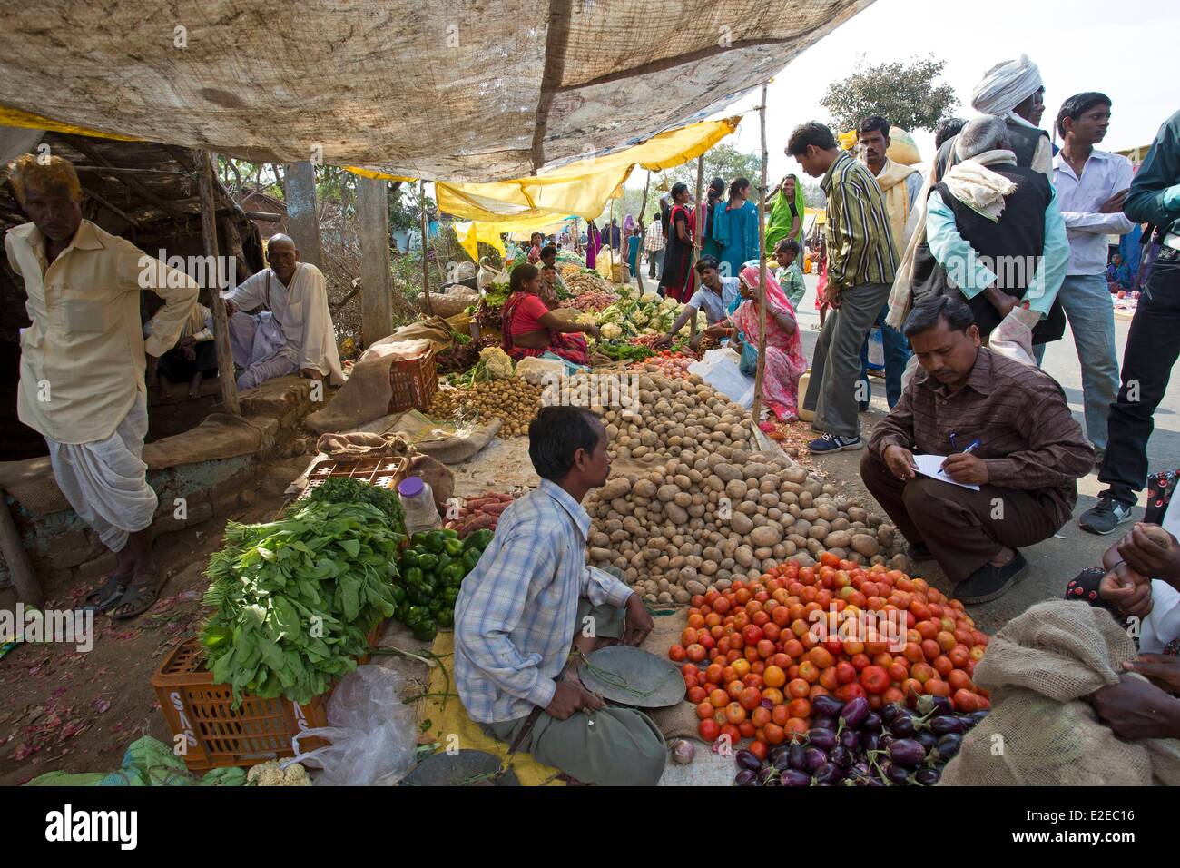 India, Madhya Pradesh state, Jabalpur, market Stock Photo Alamy