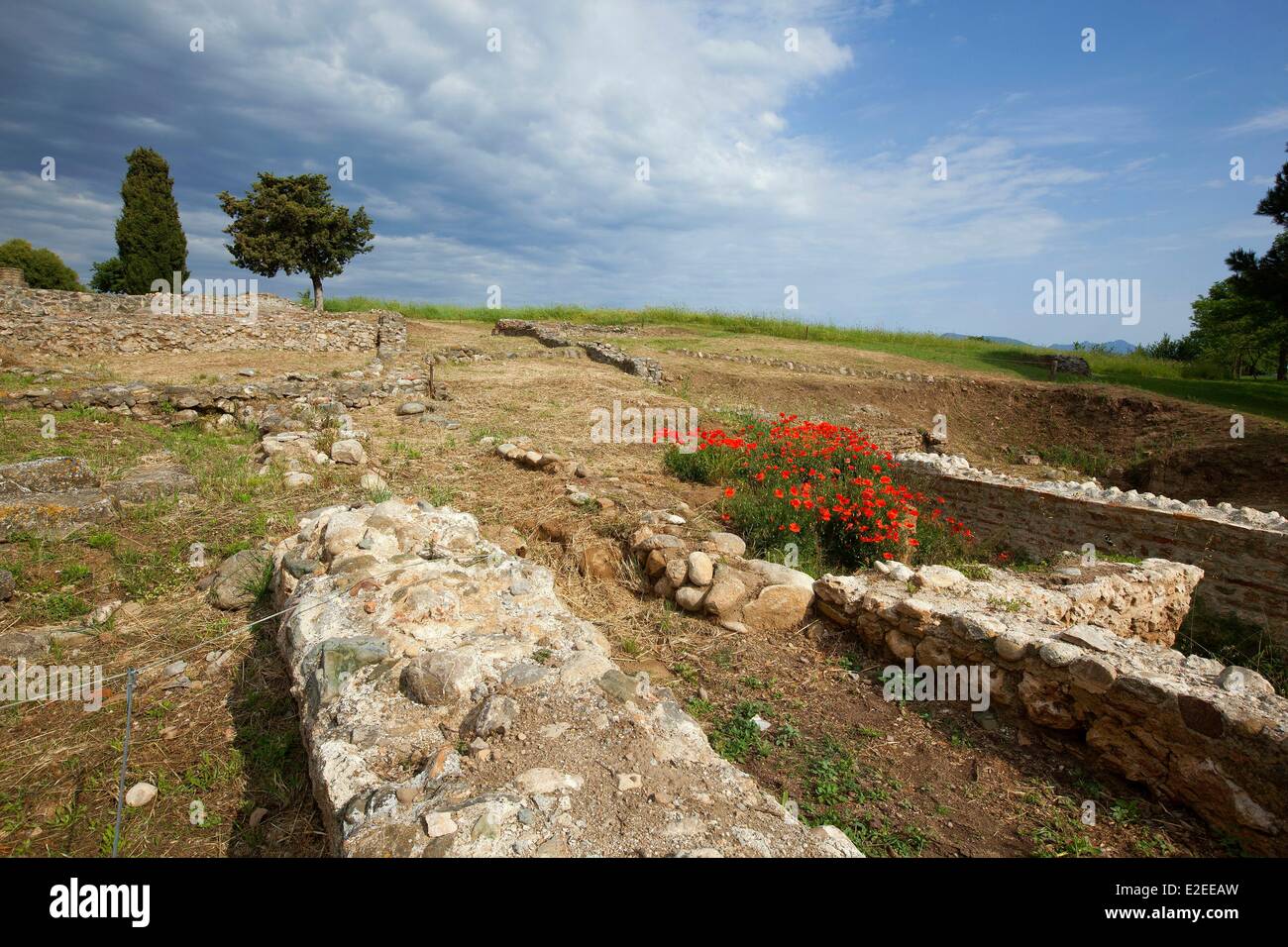 France, Haute Corse, east coast, Costa Serena, near Ghisonaccia Aleria capital of Corsica Roman ancient site Stock Photo