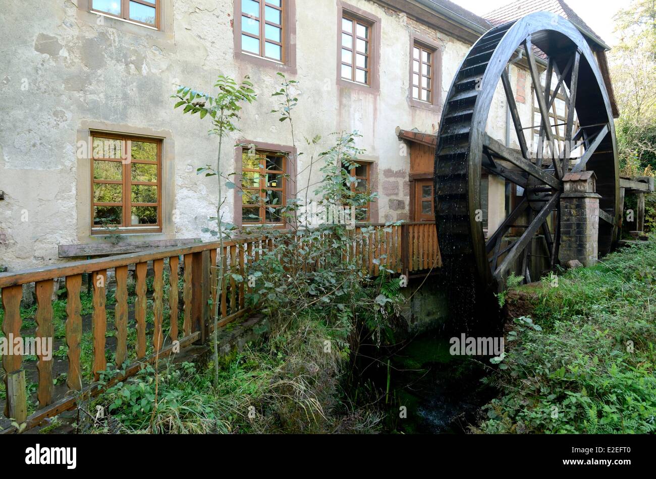 France Haut Rhin Lautenbach Zell Vivarium du Moulin wheel of the old mill Arthropods exposure introduction to environmental Stock Photo