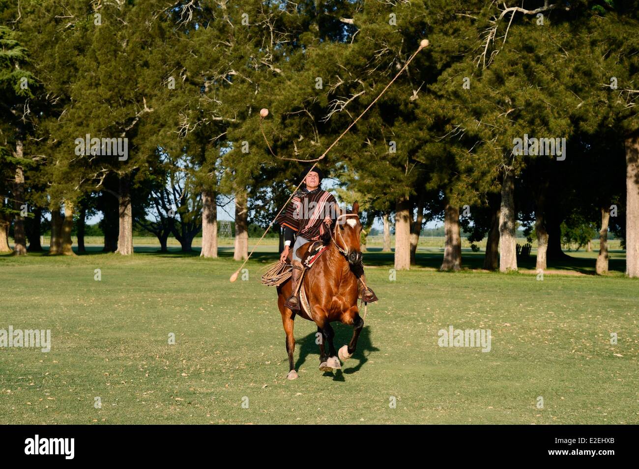 Gaucho Boleadora Traditional Argentinian Lasso With Balls 