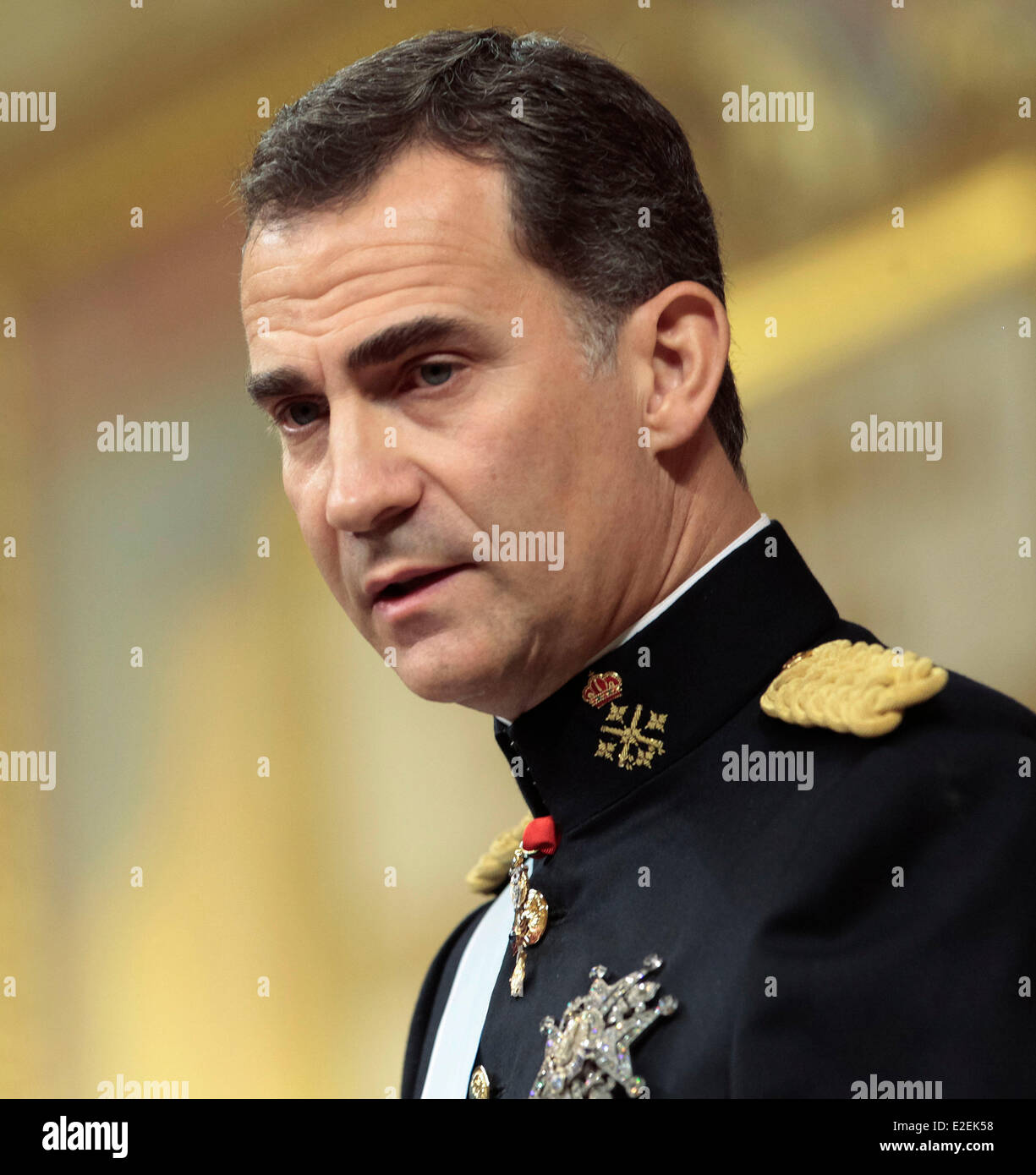 Madrid, Spain. 19th June, 2014. Spain's new King Felipe VI speaks at the swearing-in ceremony at the Congress of Deputies in Madrid, Spain, June 19, 2014. Felipe VI was crowned on Thursday at the lower house of parliament. Credit:  Daniel/Xinhua/Alamy Live News Stock Photo
