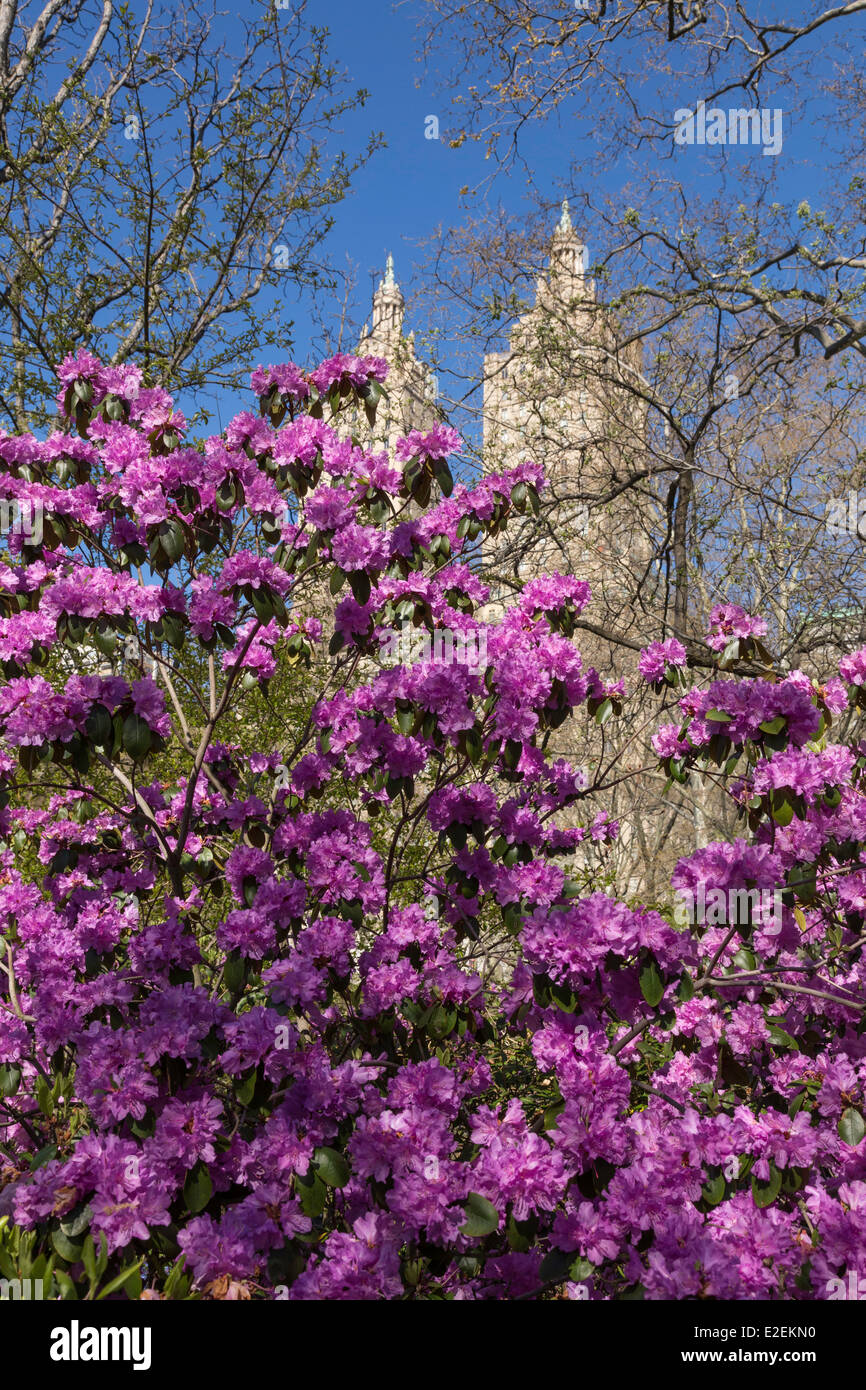 San Remo, Central Park West Side Apartments, NYC Stock Photo Alamy