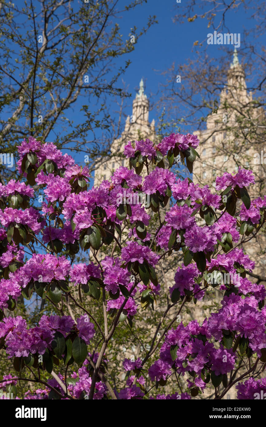San Remo, Central Park West Side Apartments, NYC Stock Photo Alamy