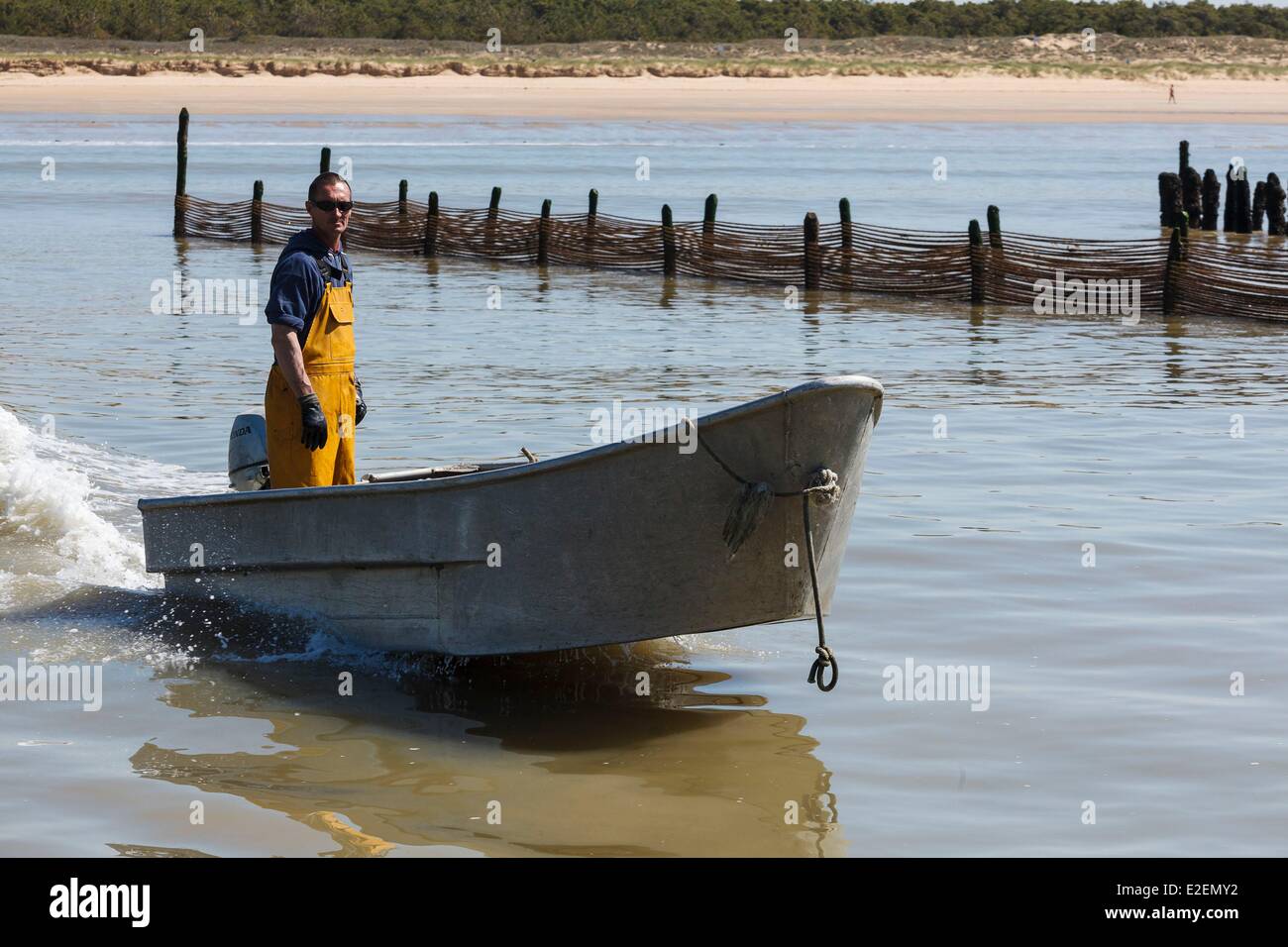 France, Vendee, L'Aiguillon sur Mer, dinghy in a mussel poles farm Stock Photo