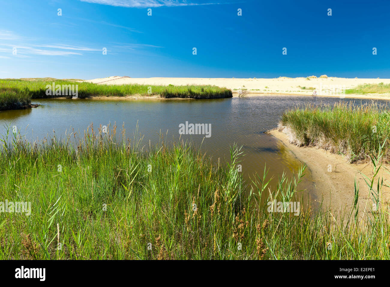 Casse de la belle henriette national nature reserve hires stock