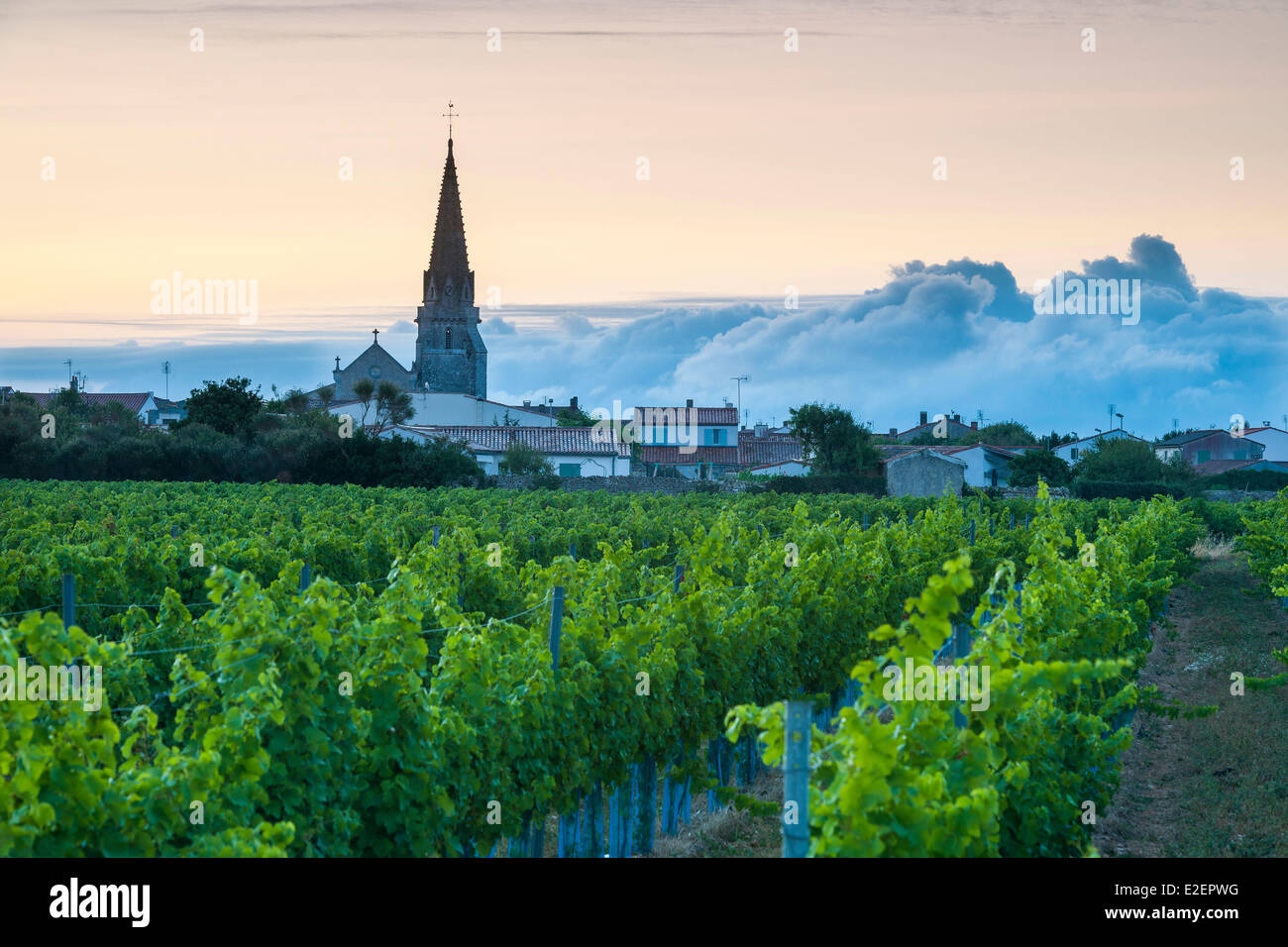 France, Charente Maritime, Ile de Re, Sainte Marie de Re Stock Photo