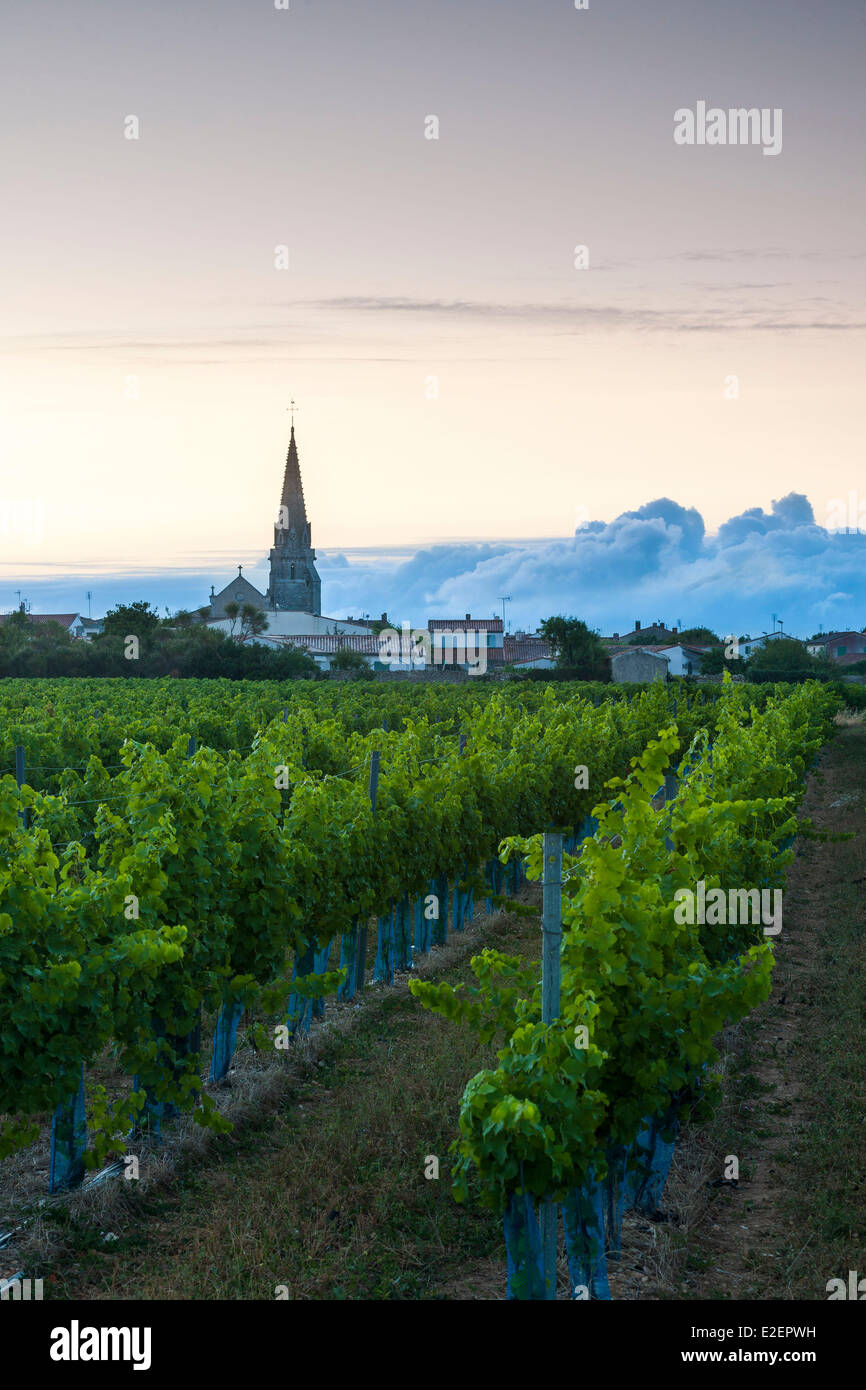 France, Charente Maritime, Ile de Re, Sainte Marie de Re Stock Photo