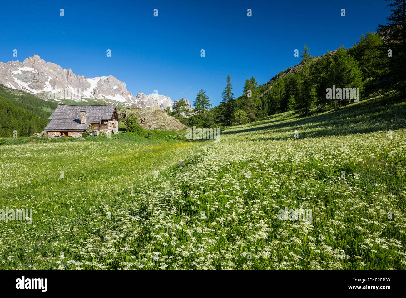 France, Hautes-Alpes, Nevache, vallee de La Claree, view of the Pointe des Cerces (3097m) Stock Photo