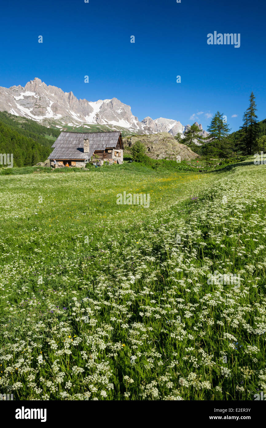 France, Hautes-Alpes, Nevache, vallee de La Claree, view of the Pointe des Cerces (3097m) Stock Photo