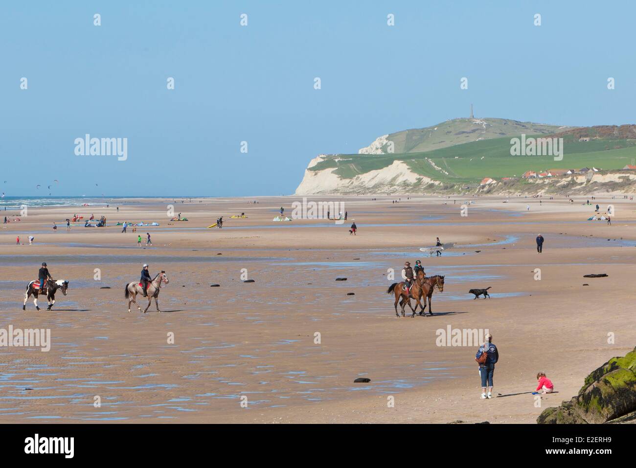 France, Pas de Calais, Cote d'Opale, Wissant, horses on the beach with the Cape Blanc-Nez in the background Stock Photo