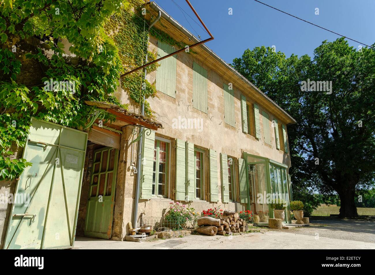 Gran S Stock Photos Gran S Stock Images Alamy