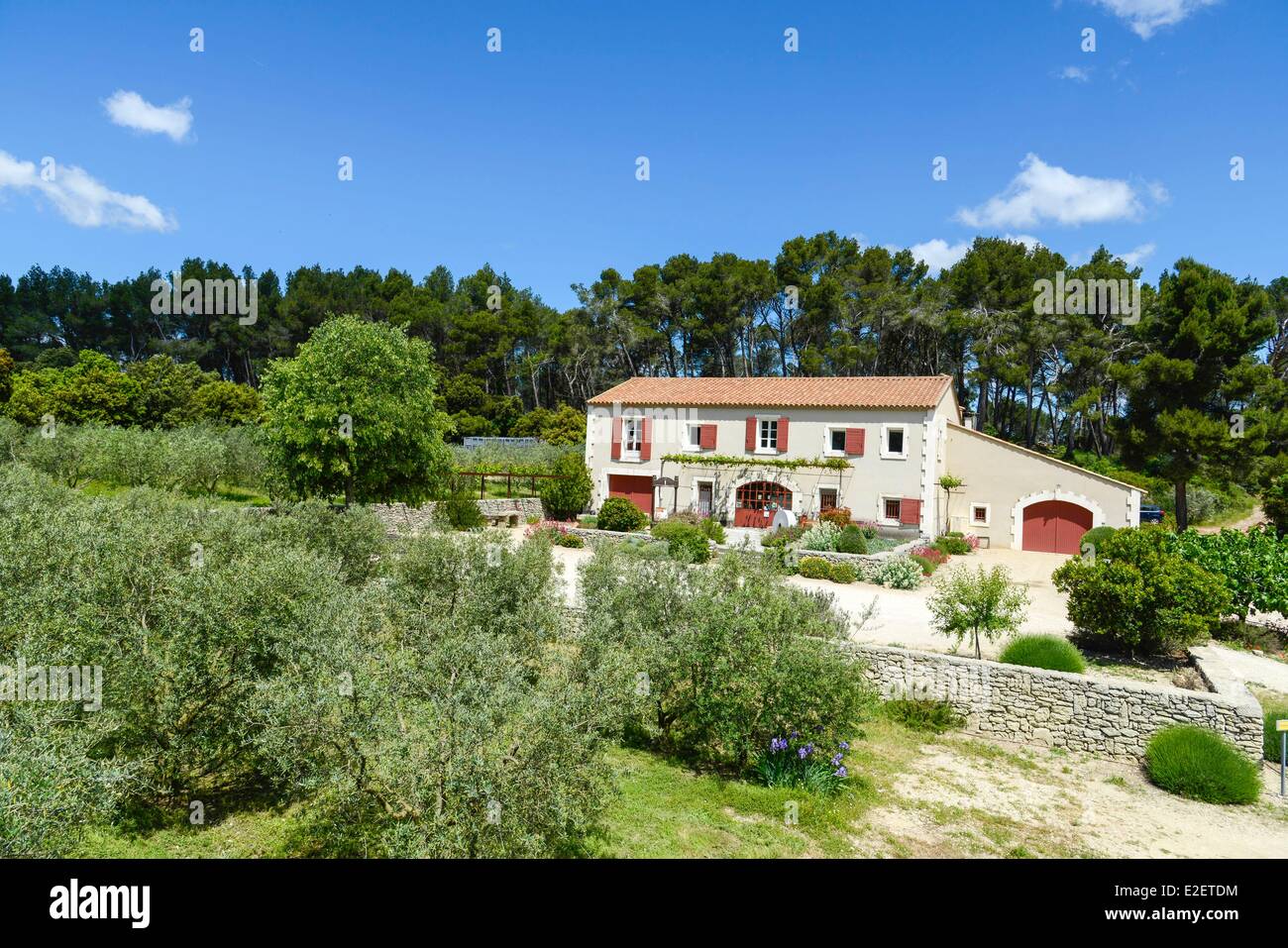 France, Bouches du Rhone, Saint Remy de Provence, Mill of Calanquet