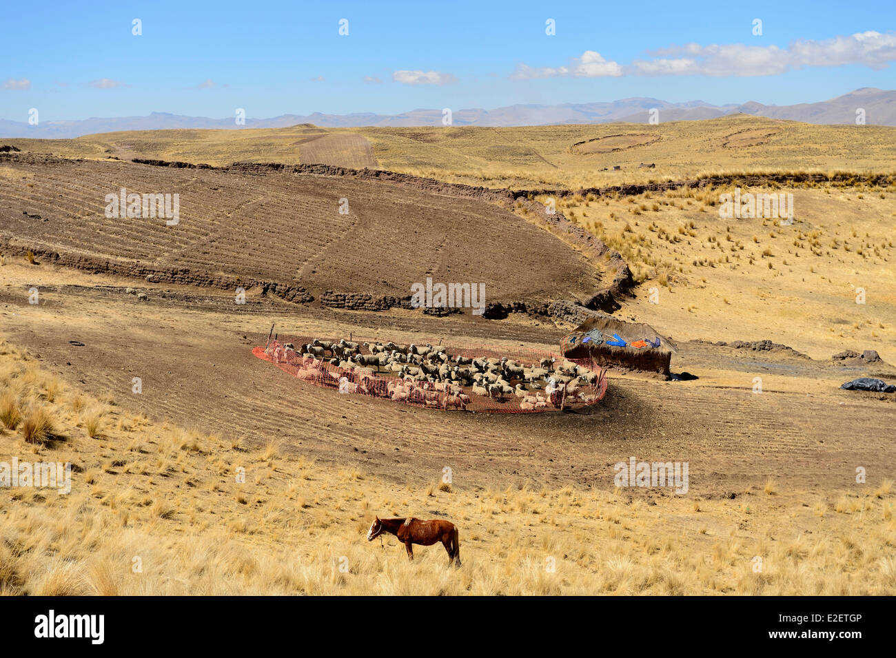 Peru, Espinar province, circular enclosure for sheep and llamas in the valley of El Descanso Stock Photo