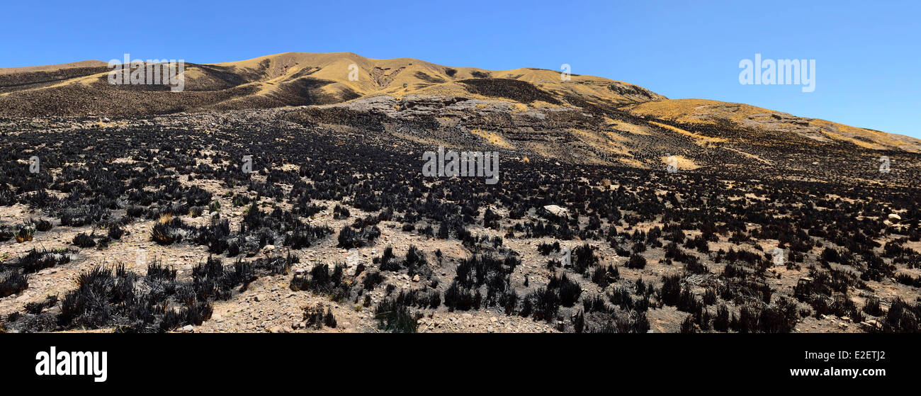 Peru, Espinar province, Condoroma, mountain burned to weeding Stock Photo