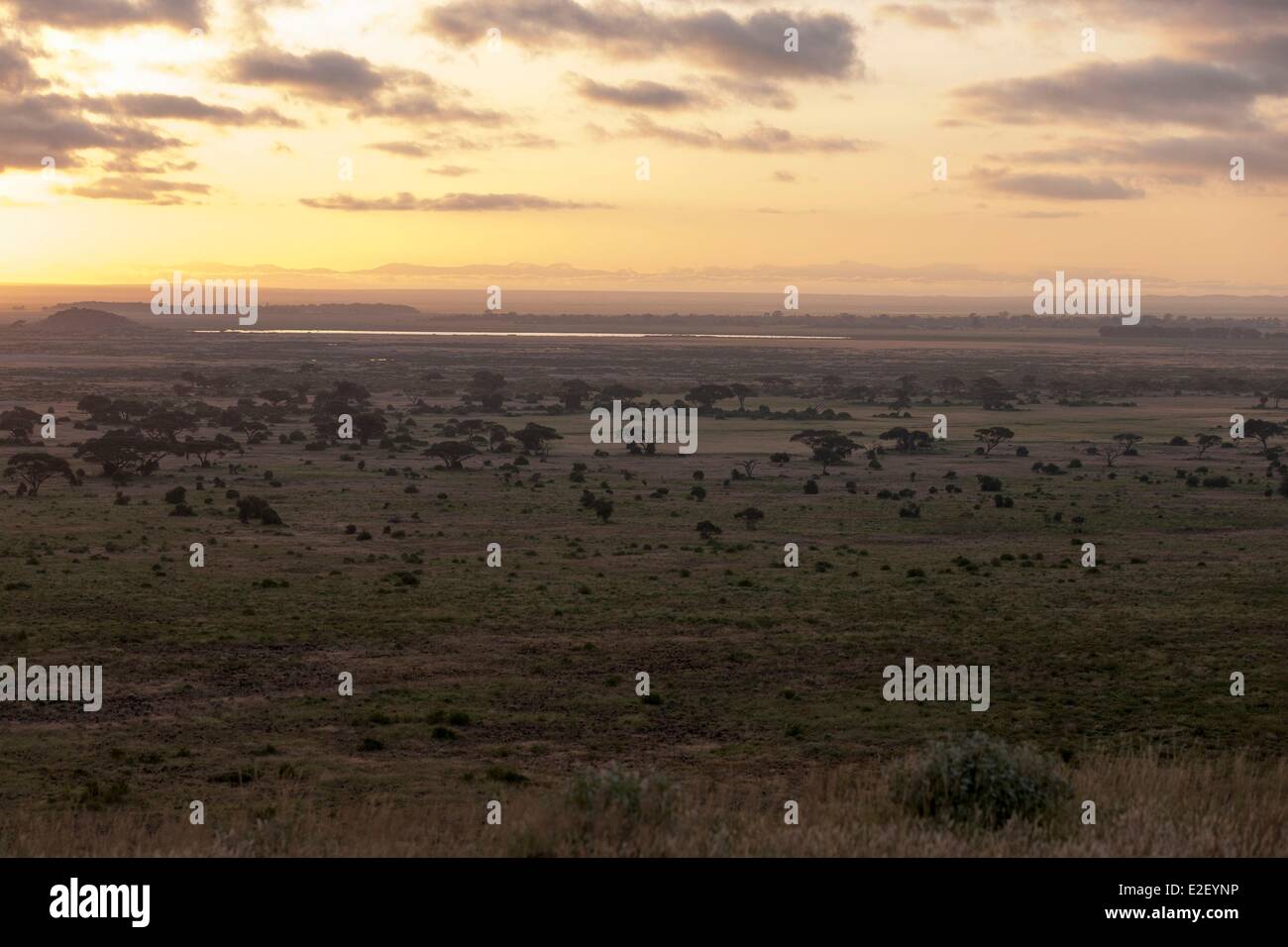 Kenya, Amboseli national park, at dawn (aerial view) Stock Photo