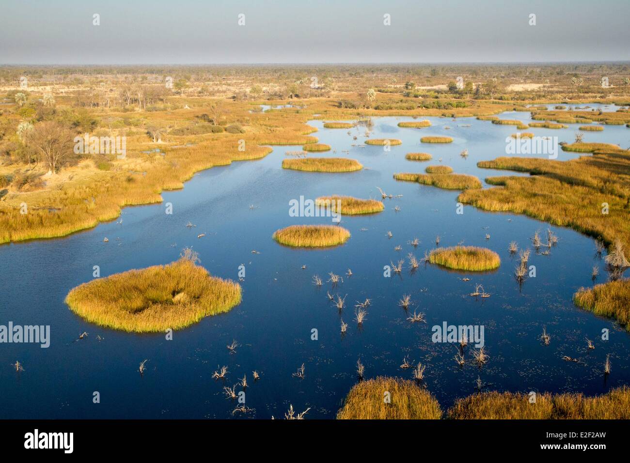 Botswana, Okavango delta (aerial view) Stock Photo