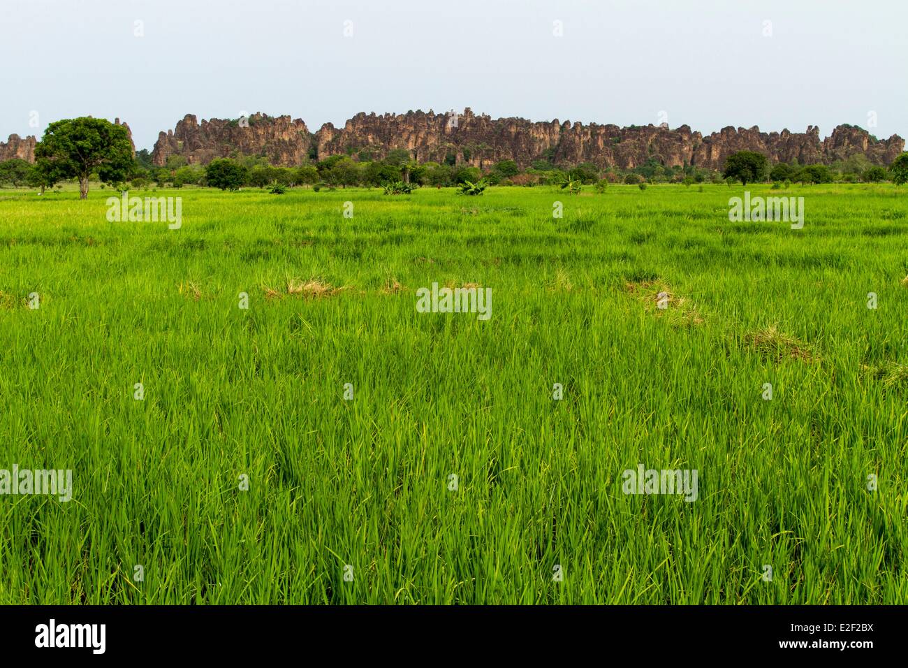 Burkina Faso, Senoufo area, Pics de Sindou Stock Photo