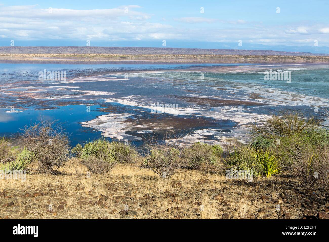 Kenya, lake Magadi, soda Stock Photo