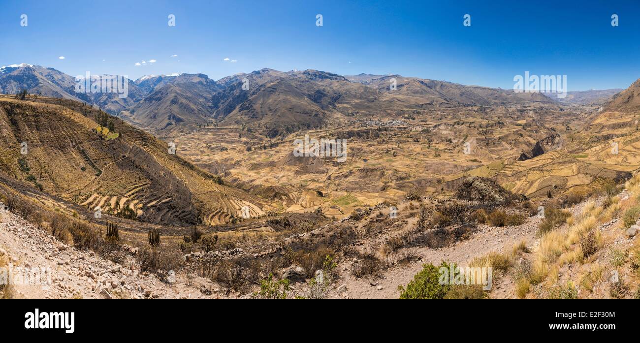 Peru, Arequipa Department, Chivay, The Inca Terraces Of Colca Canyon ...