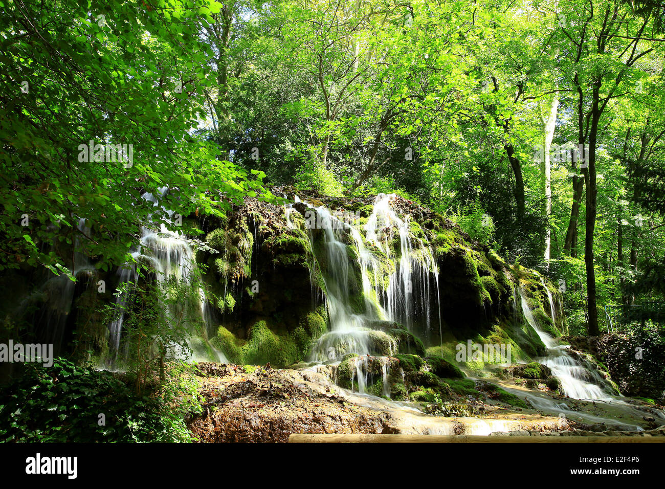 France, Bouches du Rhone, Massif de la Sainte Baume, Gemenos, Domaine
