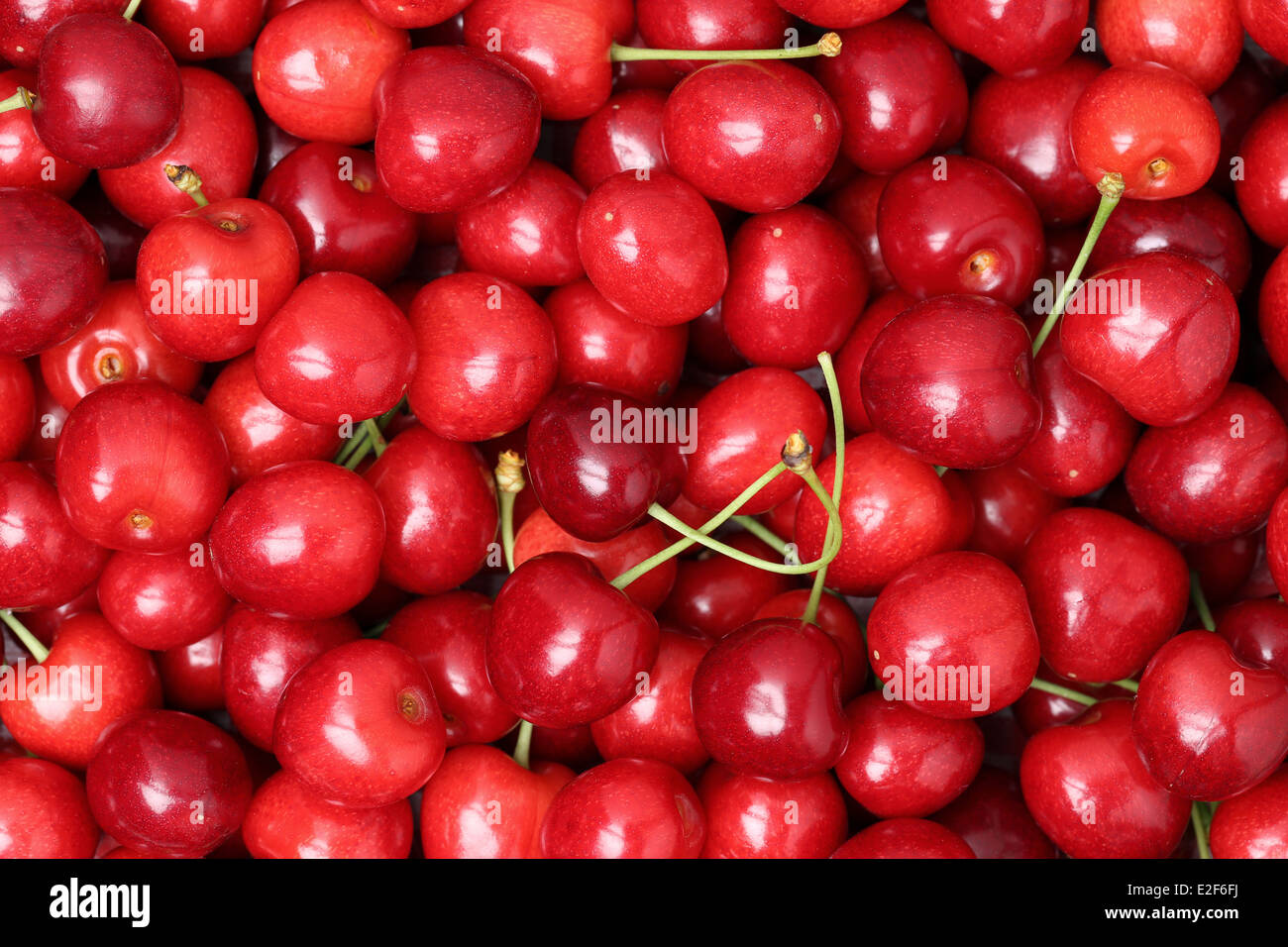 Red ripe cherries forming a background in summer Stock Photo - Alamy