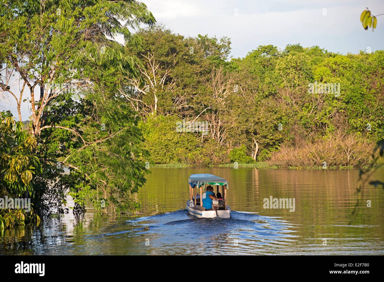 Brazil, Amazonas State, Manaus, Amazon river basin, Flooded forest Stock Photo