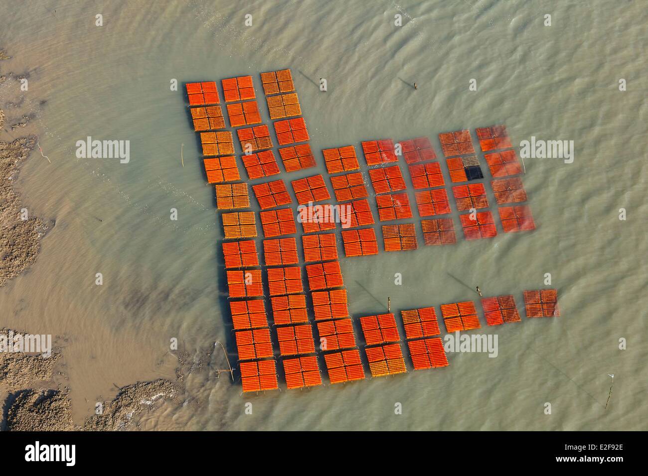 France, Charente Maritime, Port des Barques, oyster collectors in the oyster farm (aerial view) Stock Photo