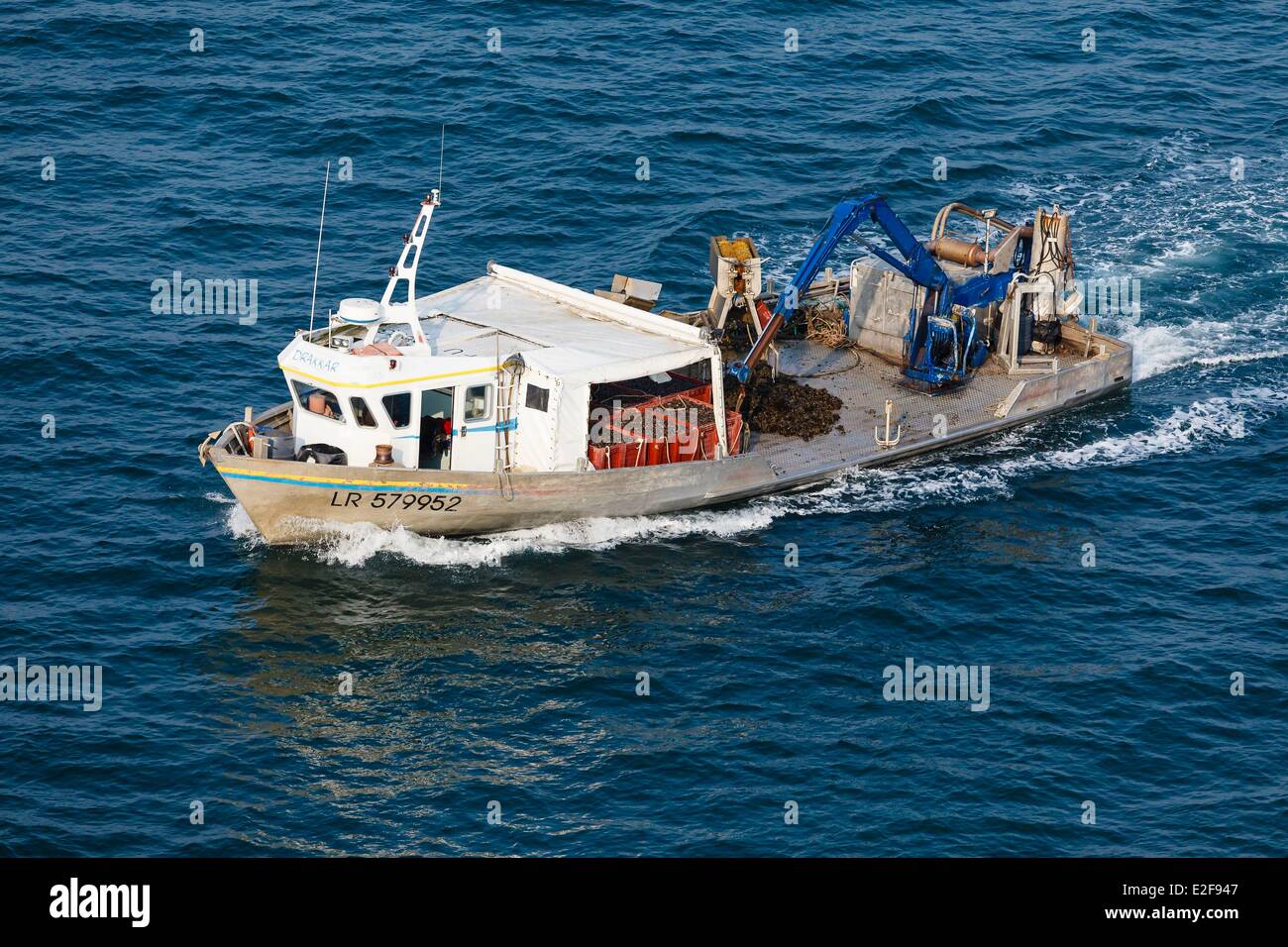 France, Vendee, La Faute-sur-Mer, mussel farm boat (aerial view) Stock Photo