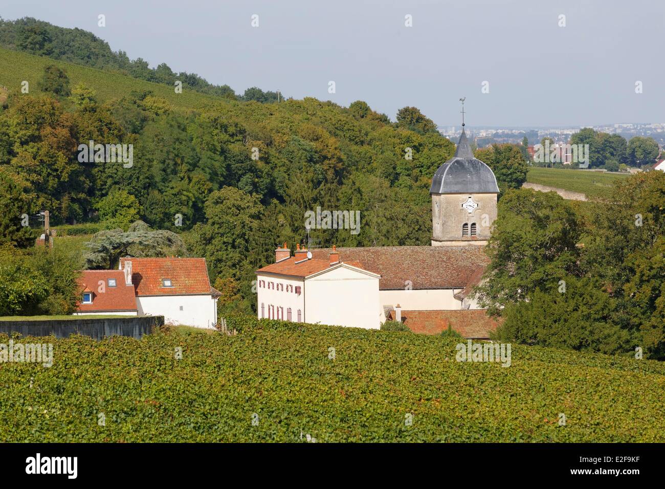 France, Cote d'Or, Chambolle Musigny, Bourgogne vineyard, cote de Nuits vineyard Stock Photo