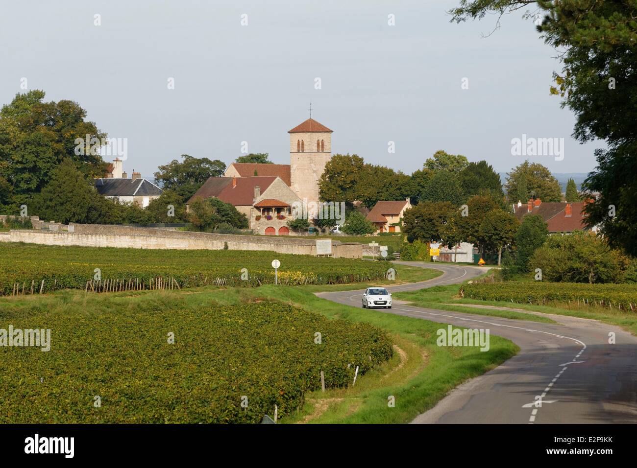 France, Cote d'Or, Gevrey Chambertin, Bourgogne Grand Cru, cote de Nuits vineyard Stock Photo