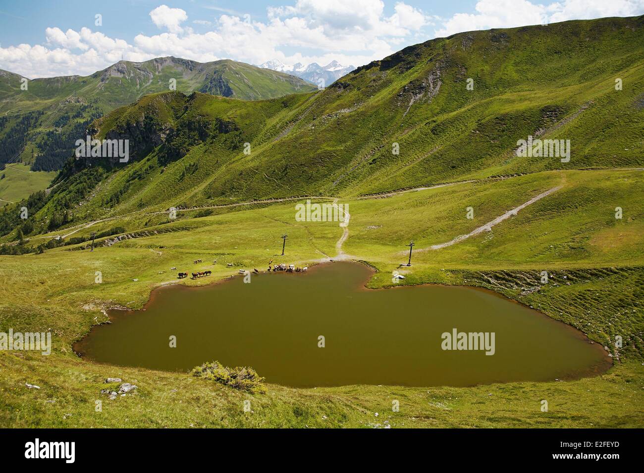 Austria, Land of Salzburg, Kitzbuhel Alps, Saalbach Hinterglemm, Saalbach Hinterglemm valley Stock Photo