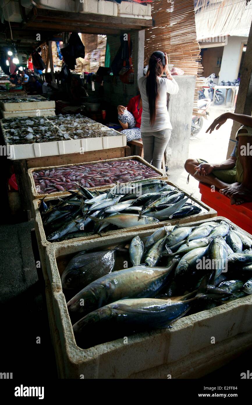 Indonesia, Bali, Jimbaran, fishing village, the fish market Stock Photo