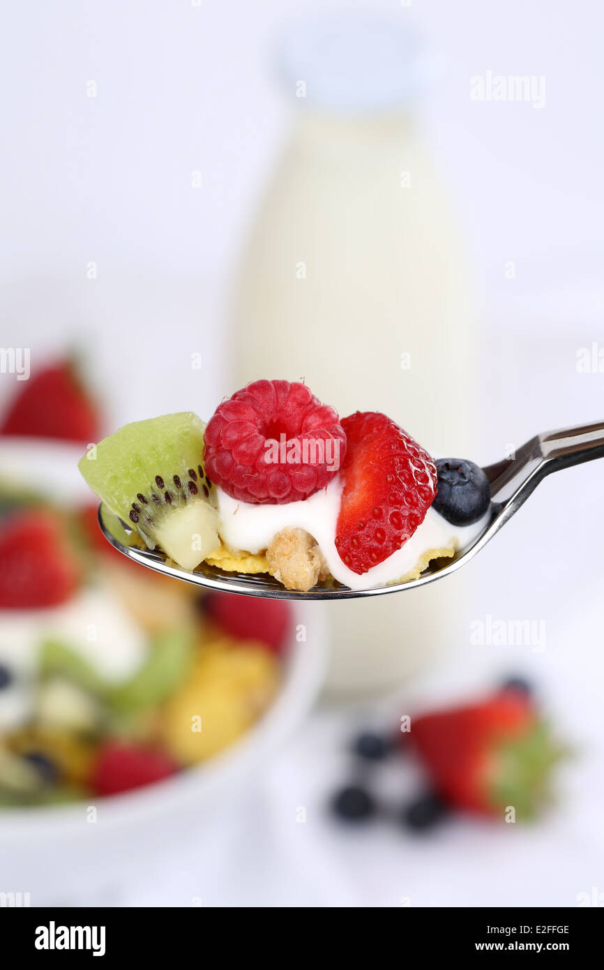 Fruit cereals with strawberries, banana, raspberries, kiwi and blueberries on a spoon with yogurt and milk Stock Photo