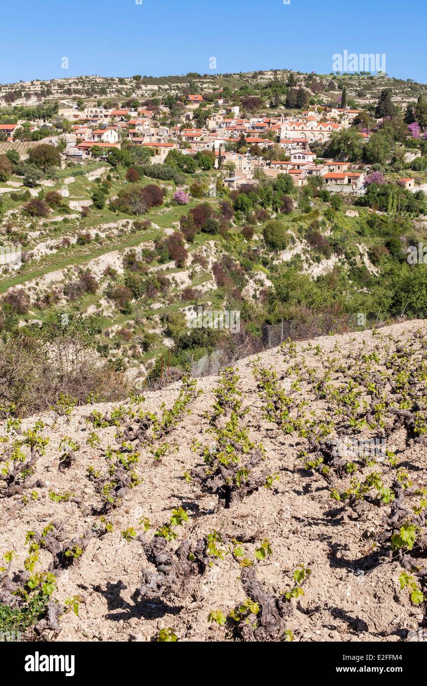 Cyprus, Troodos Mountains, wine region of Laona, Vasa village and its vineyards Stock Photo