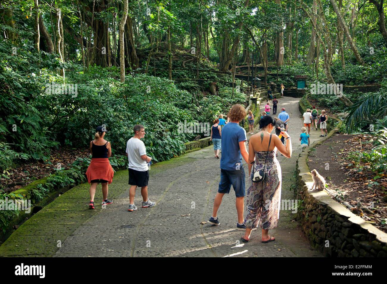 Indonesia, Bali, Ubud, Monkey Forest Stock Photo