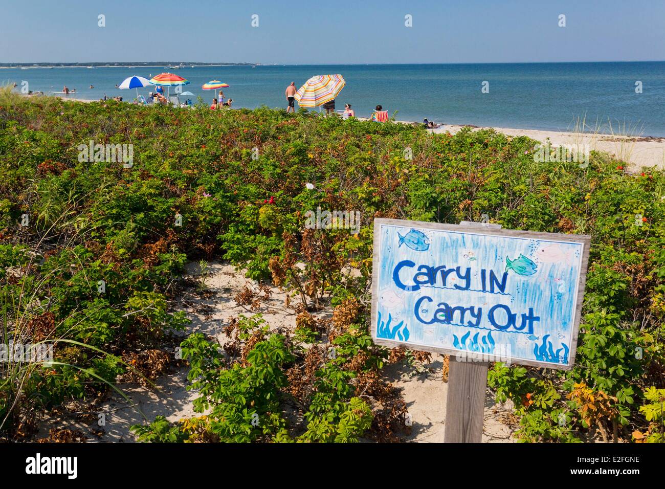 United States, Massachusetts, Cape Cod, Martha's Vineyard island, Oak Bluffs State Beach Stock Photo