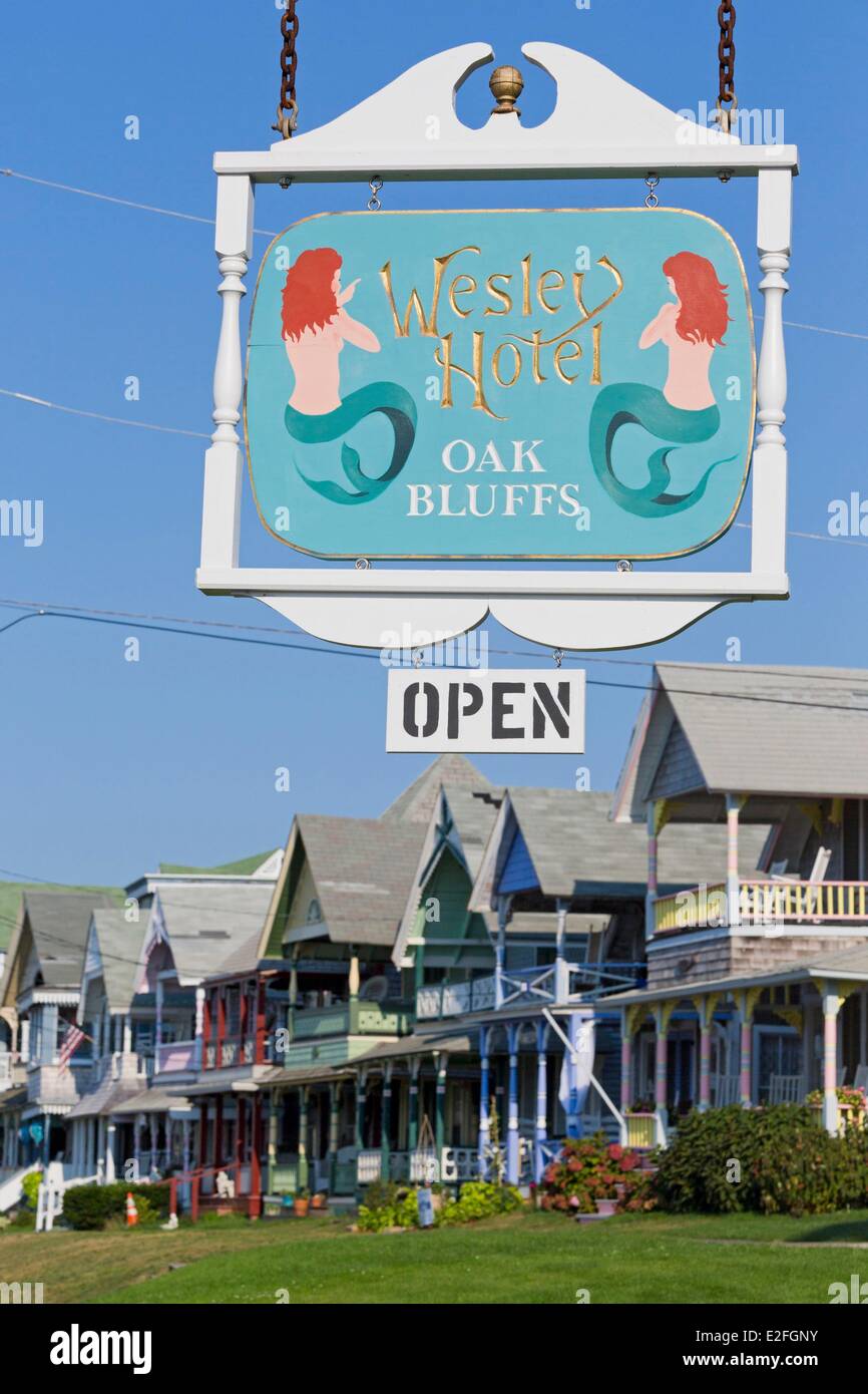 United States, Massachusetts, Cape Cod, Martha's Vineyard island, Oak