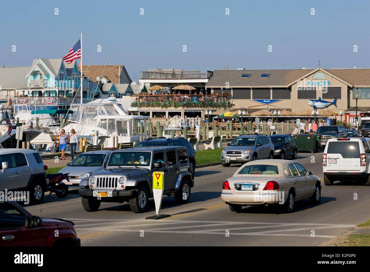 United States, Massachusetts, Cape Cod, Martha's Vineyard island, Oak
