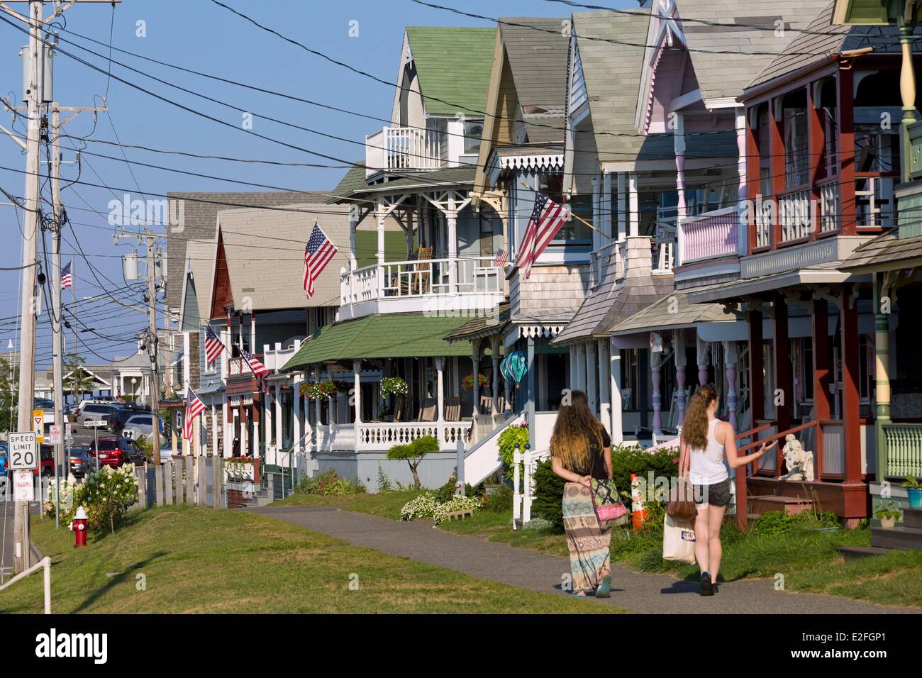 United States, Massachusetts, Cape Cod, Martha's Vineyard island, Oak