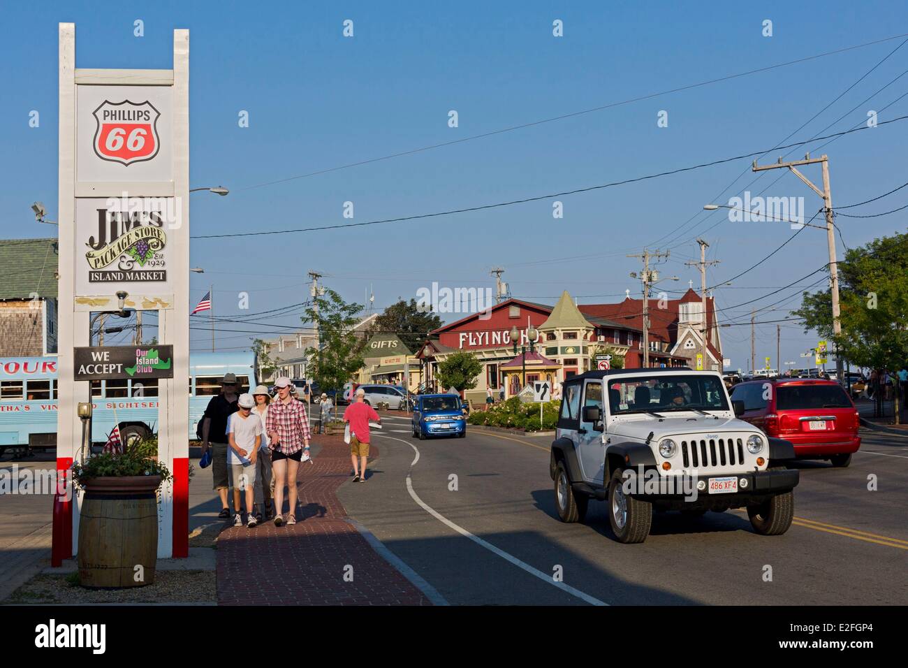 United States, Massachusetts, Cape Cod,Martha's Vineyard island, Oak