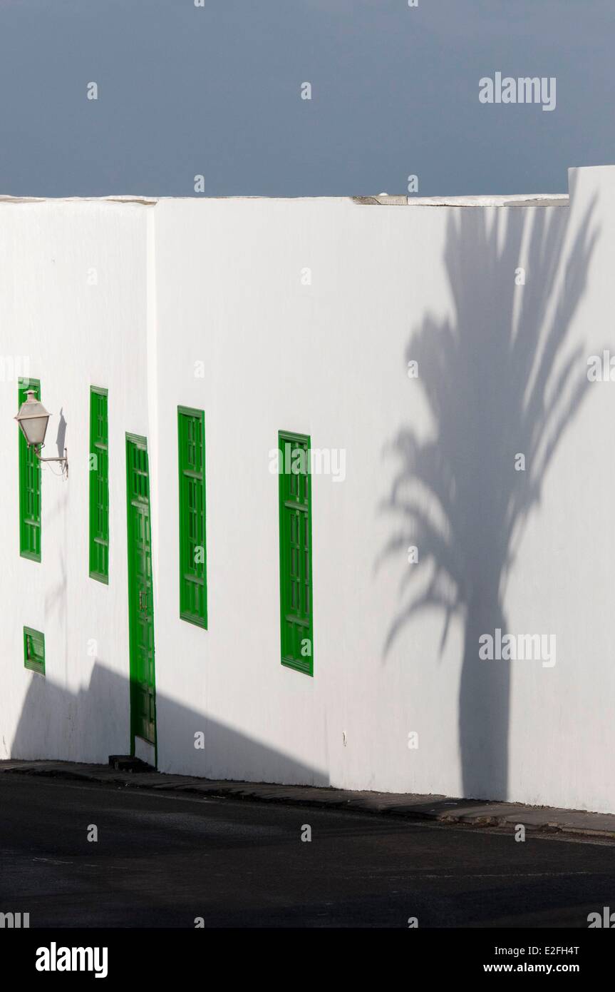 Spain, Canary Islands, Isle of Lanzarote, Teguise, shady palm tree on a wall, white house with green shutters and door Stock Photo
