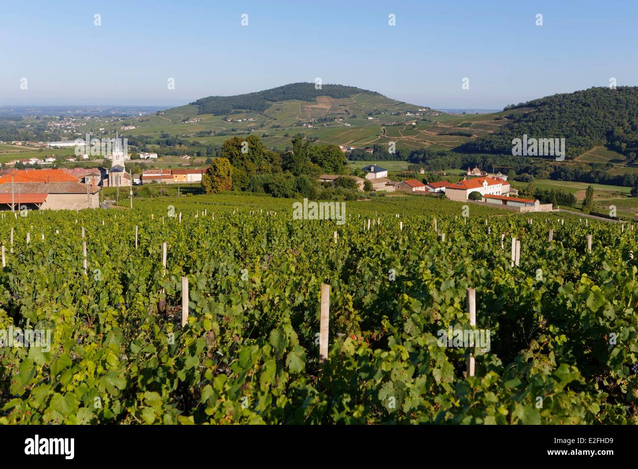 quincie-en-beaujolais-hi-res-stock-photography-and-images-alamy
