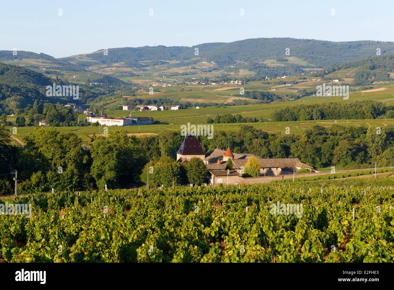 France, Rhone, Julienas village, AOC Beaujolais vineyard Stock Photo