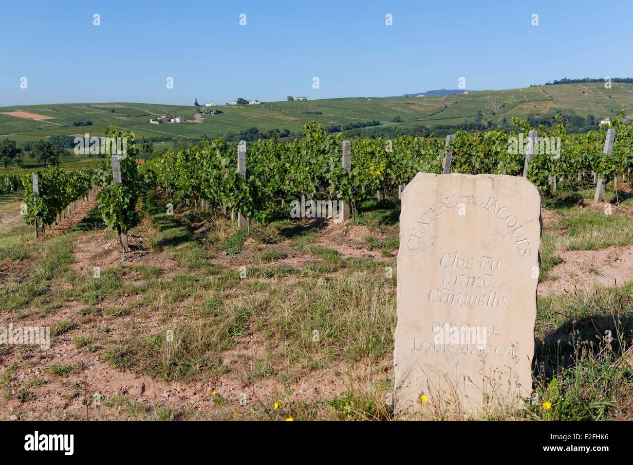 France, Saone et Loire, property entrance, Moulin a Vent Beaujolais vineyard, Romaneche Thorins Stock Photo