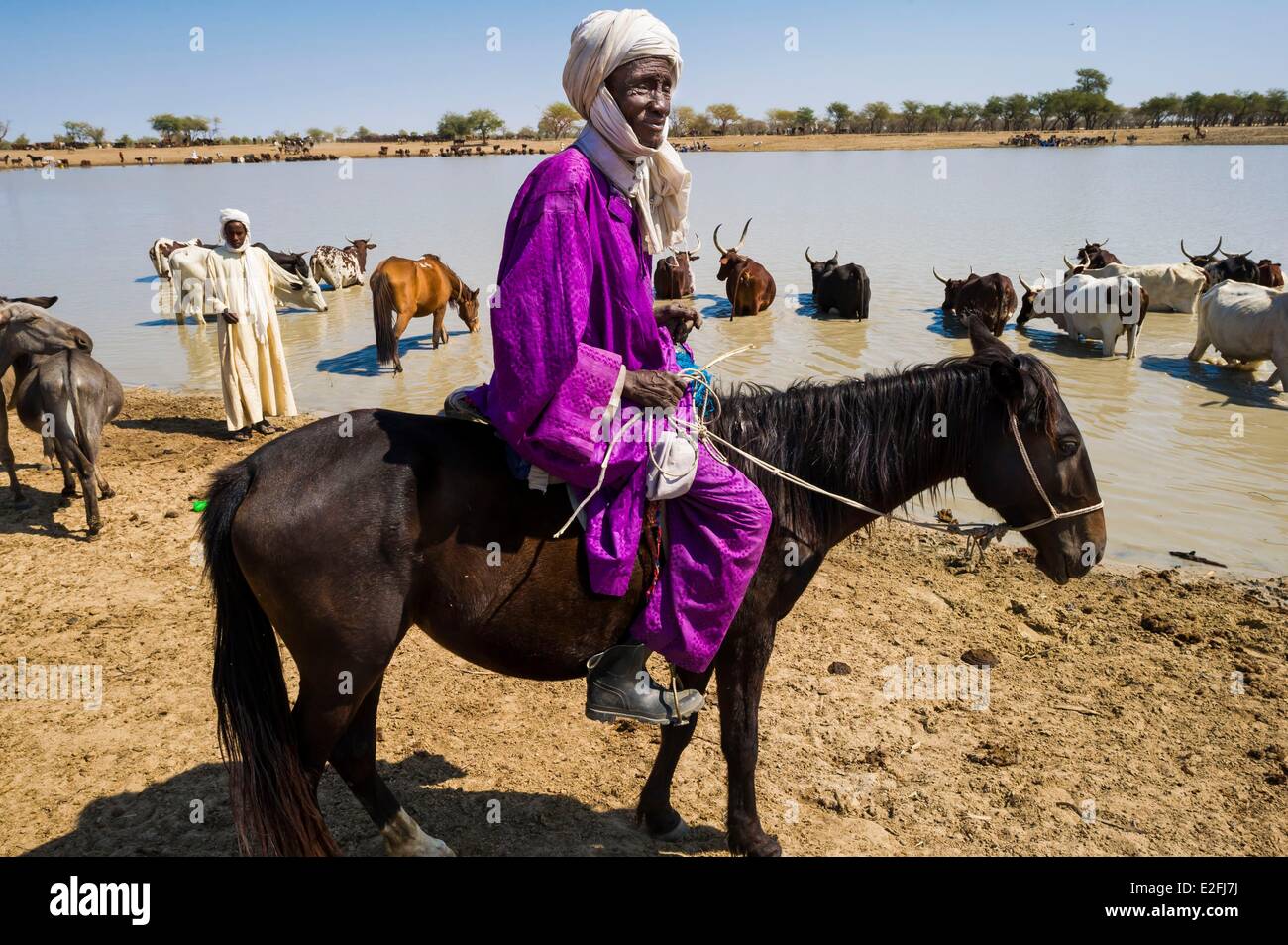 Chad, Sahel, Bisney, waterhole where herds congregate Stock Photo