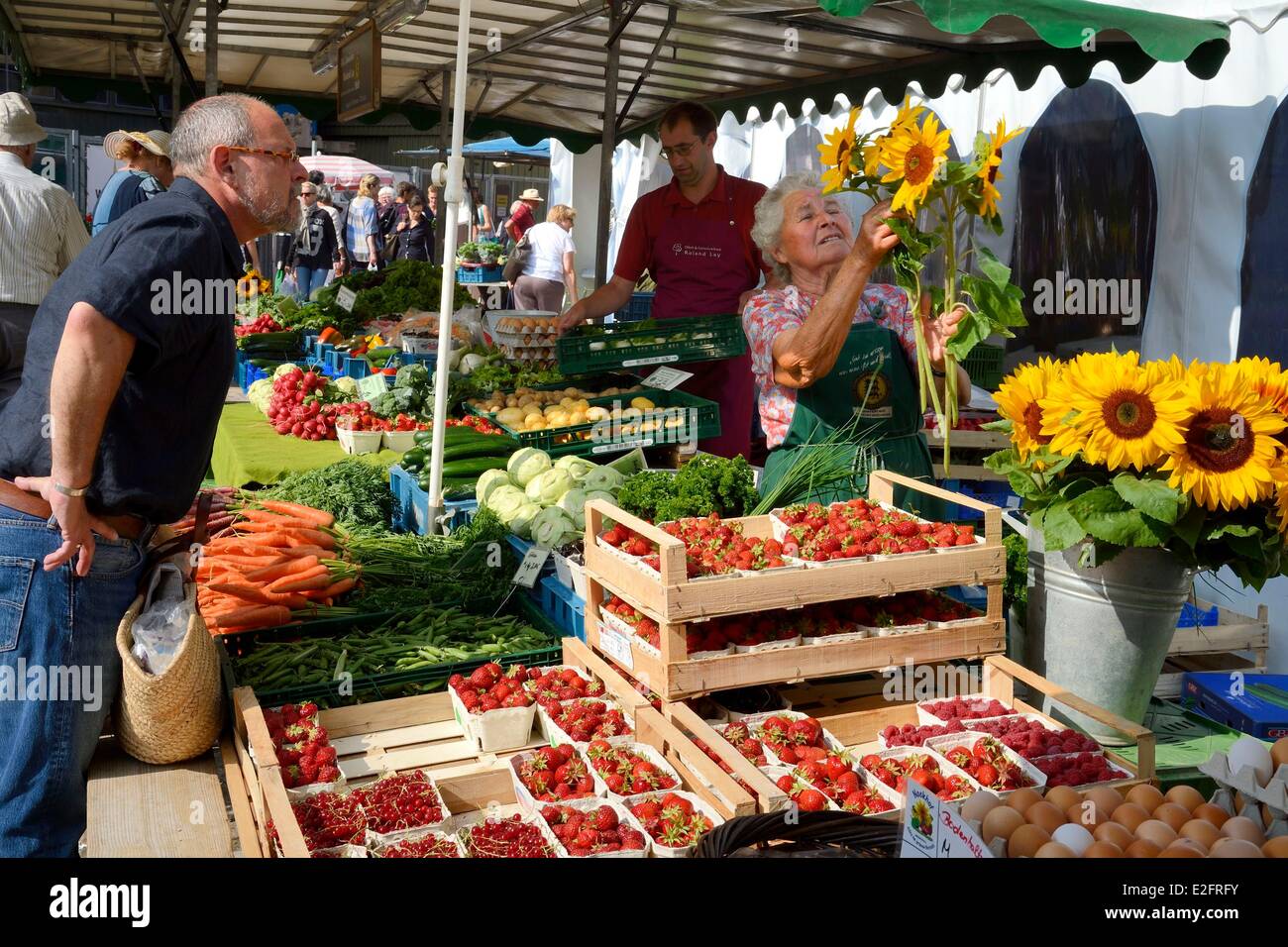 Germany Baden Wurttemberg Freiburg im Breisgau market day on Munsterplatz Stock Photo