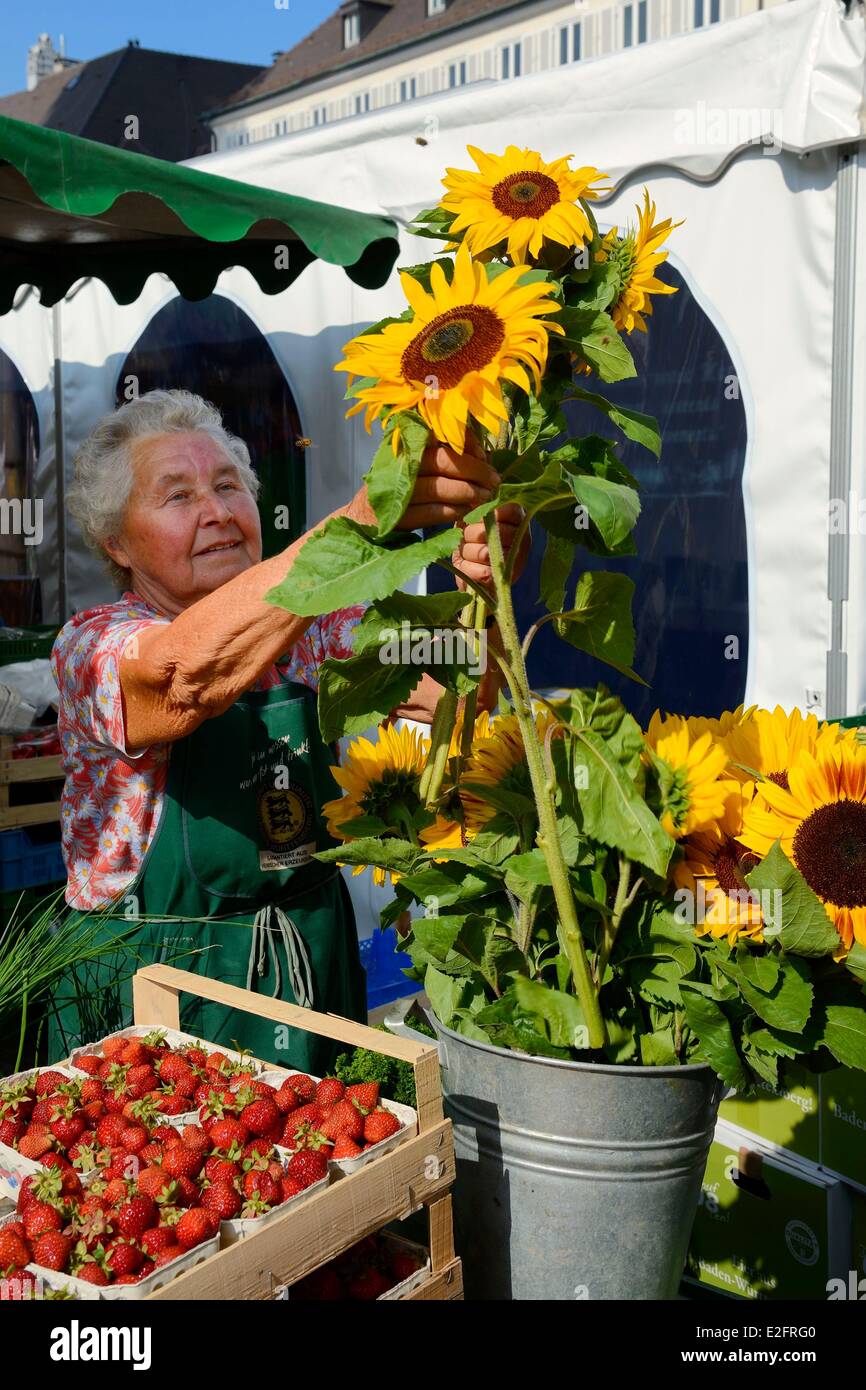 Germany Baden Wurttemberg Freiburg im Breisgau market day on Munsterplatz Stock Photo