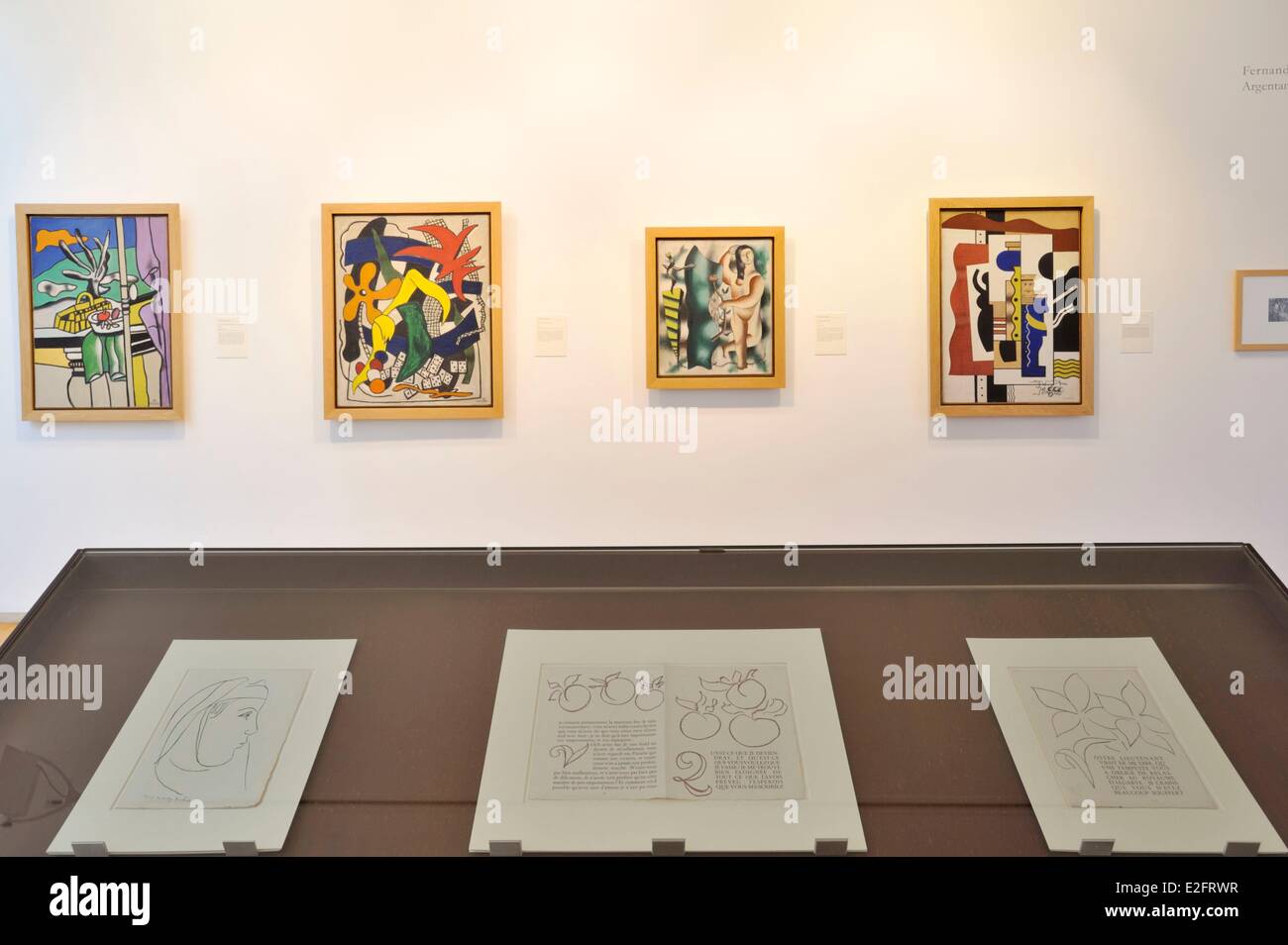 France Nord Le Cateau Cambresis Palais Fenelon Musee Matisse Teriade's  collection Fernand Leger paintings Stock Photo - Alamy