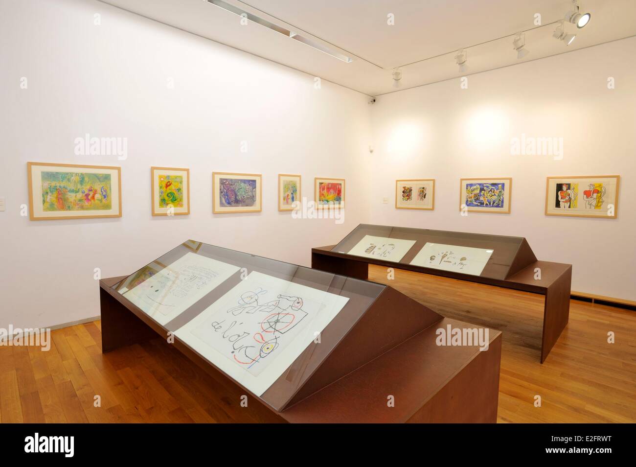 France Nord Le Cateau Cambresis Palais Fenelon Musee Matisse Teriade's  collection (Matisse publisher) Henri Matisse paintings Stock Photo - Alamy